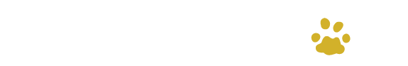 DS-logo-naujas-baltas